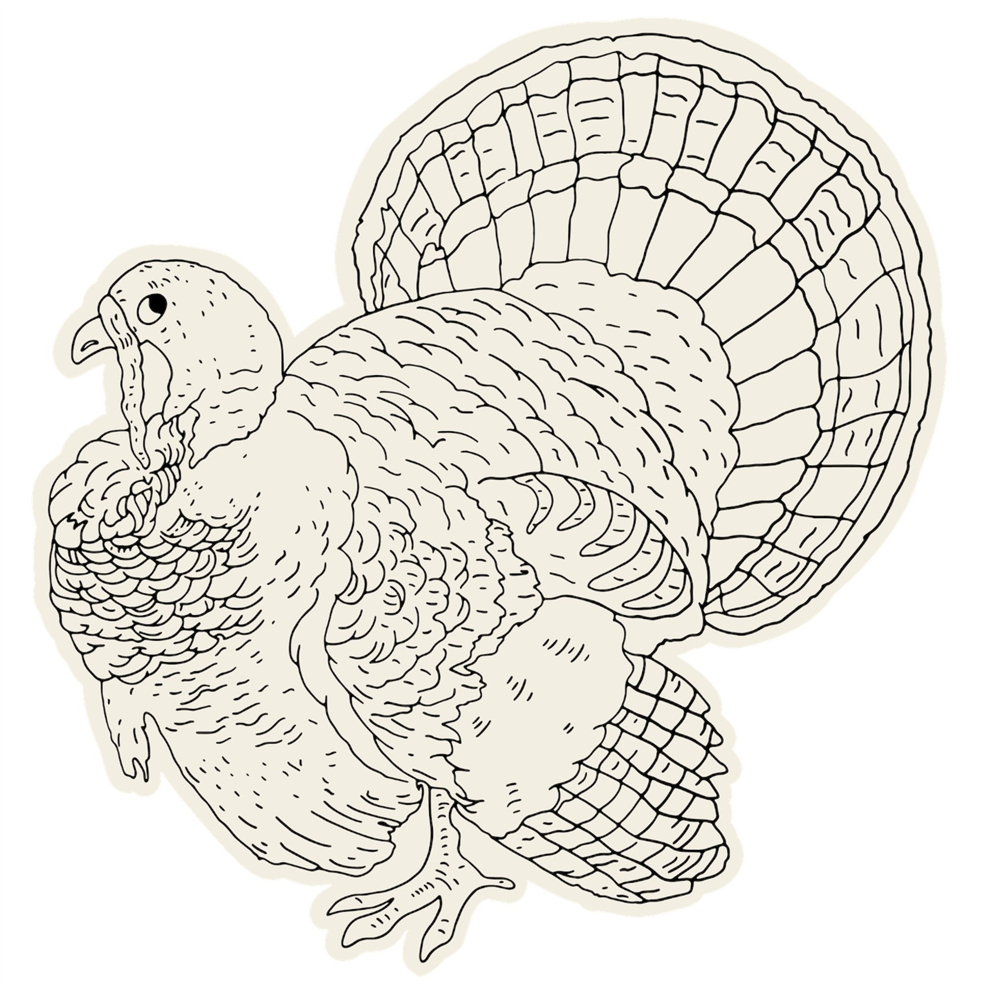 Hester & Cook Die Cut Placemats Coloring Turkey