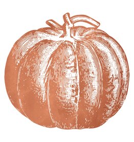 Hester & Cook Die Cut Pumpkin Placemat