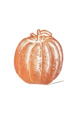 Hester & Cook Pumpkin Placecards