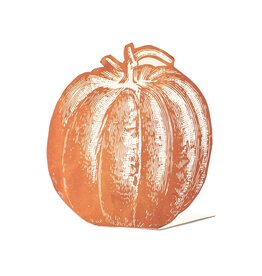 Hester & Cook Pumpkin Placecards