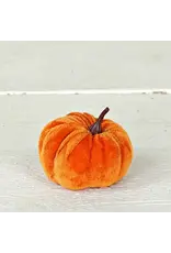 Impressive Enterprises Mini Pumpkin