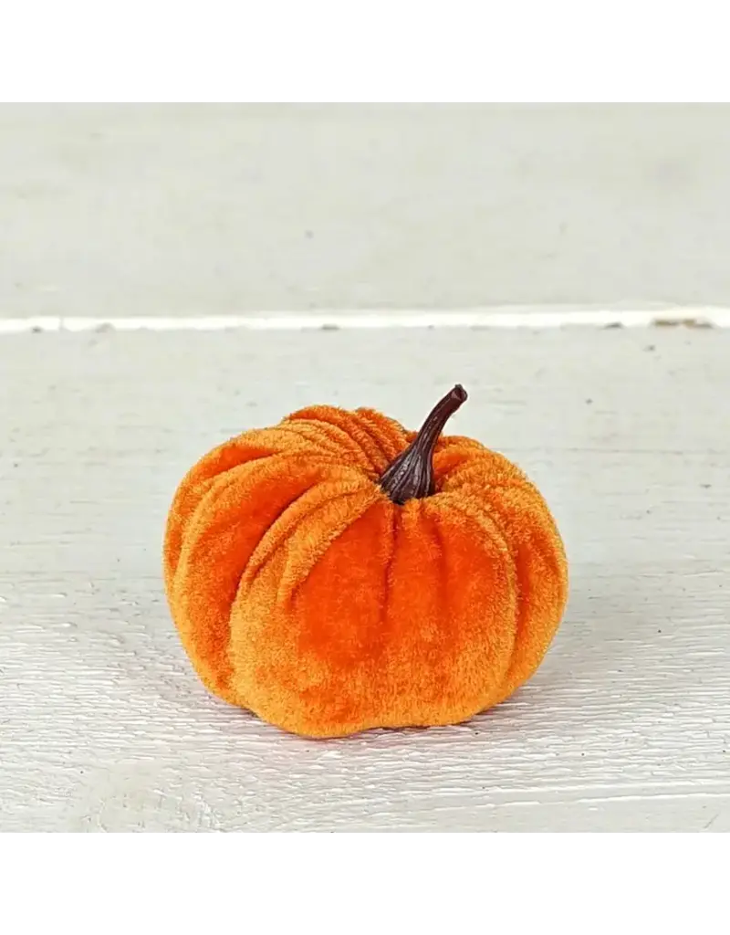 Impressive Enterprises Mini Pumpkin