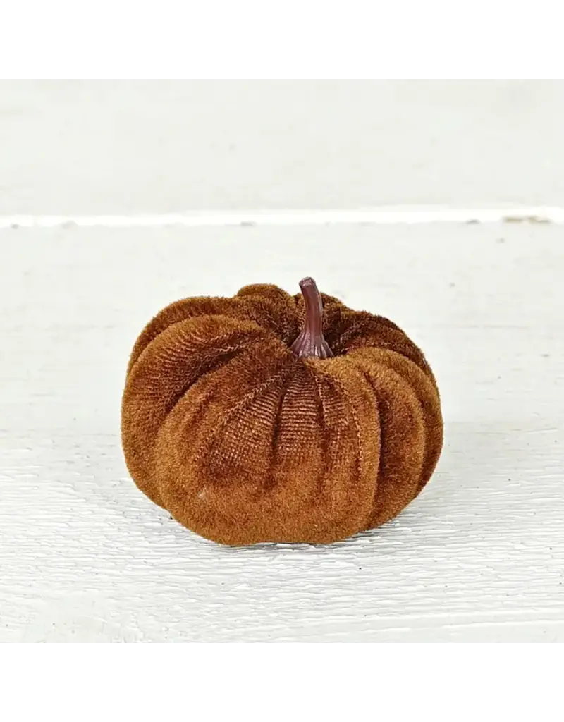 Impressive Enterprises Mini Pumpkin