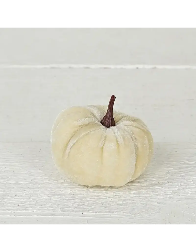 Impressive Enterprises Mini Pumpkin