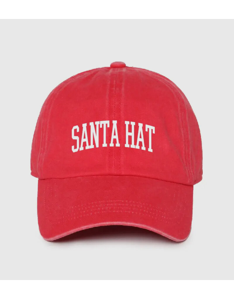 David & Young Santa Hat Cap