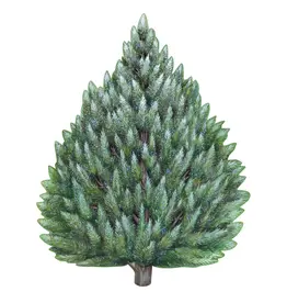 Hester & Cook Evergreen Placemats