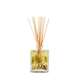 Rosy Rings Coastal Vanilla Diffuser