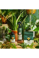 We The Wild Houseplant Care Taster Kit