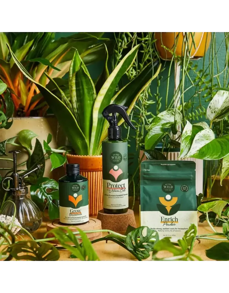 We The Wild Houseplant Care Taster Kit