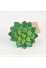 Impressive Enterprises Green Velvet Succulent