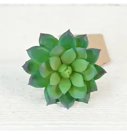 Impressive Enterprises Green Velvet Succulent