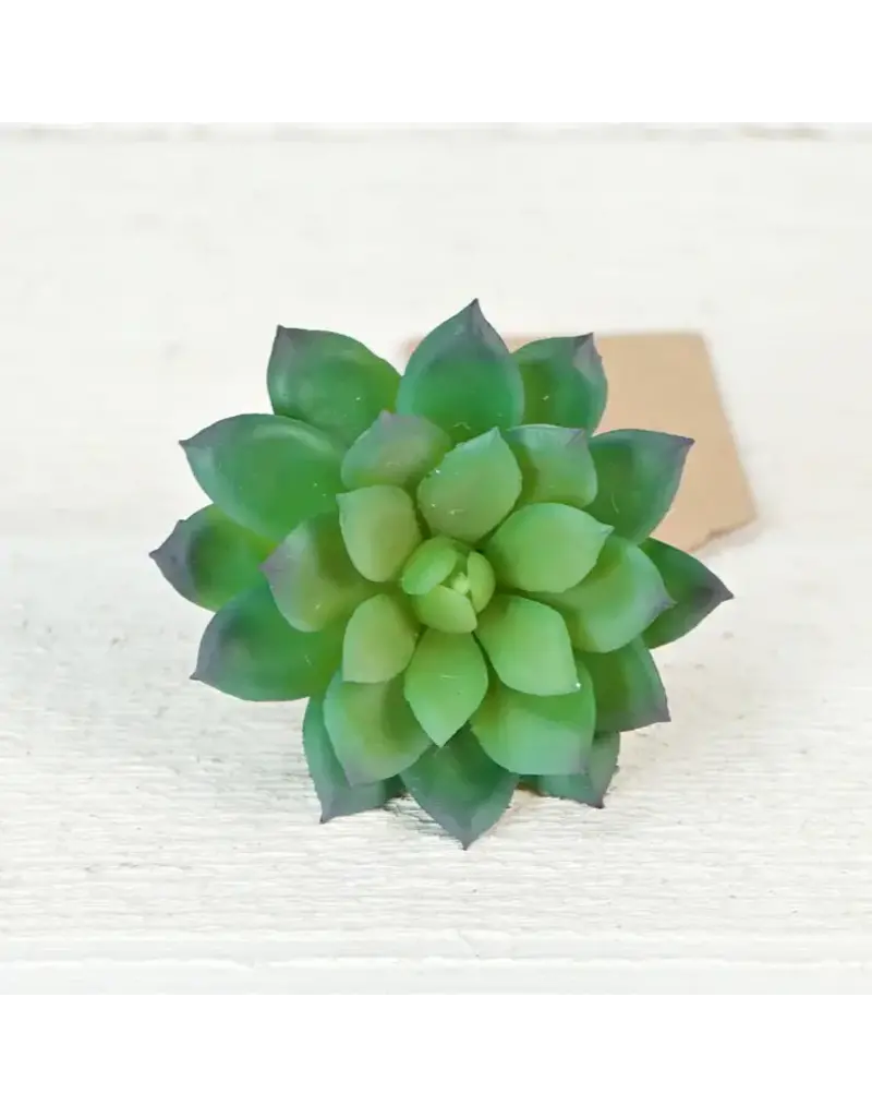 Impressive Enterprises Green Velvet Succulent