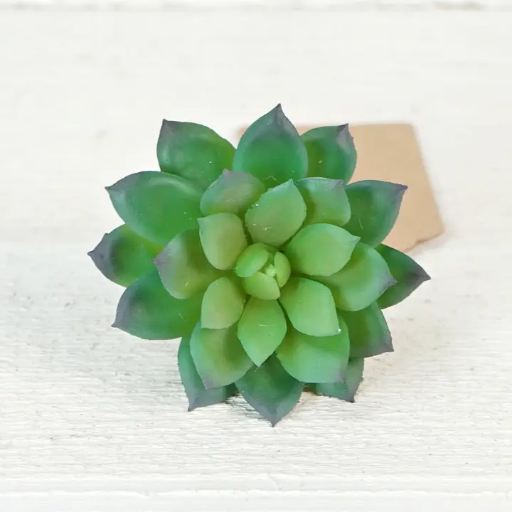 Impressive Enterprises Green Velvet Succulent