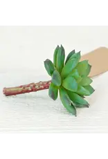 Impressive Enterprises Green Velvet Succulent