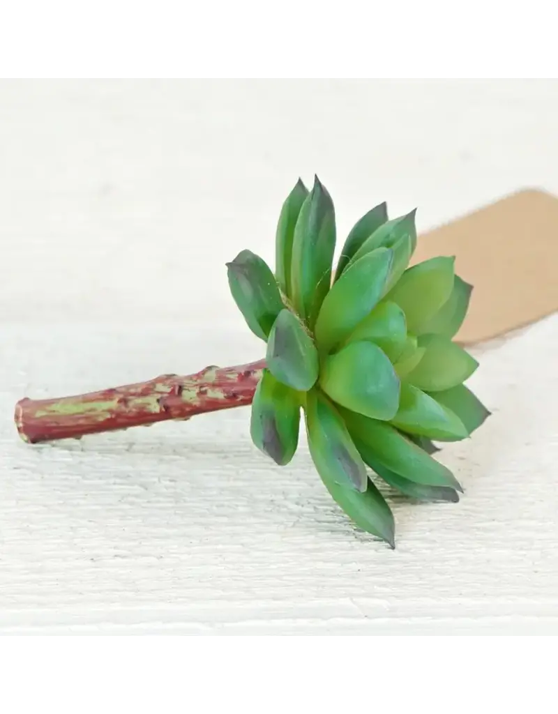 Impressive Enterprises Green Velvet Succulent