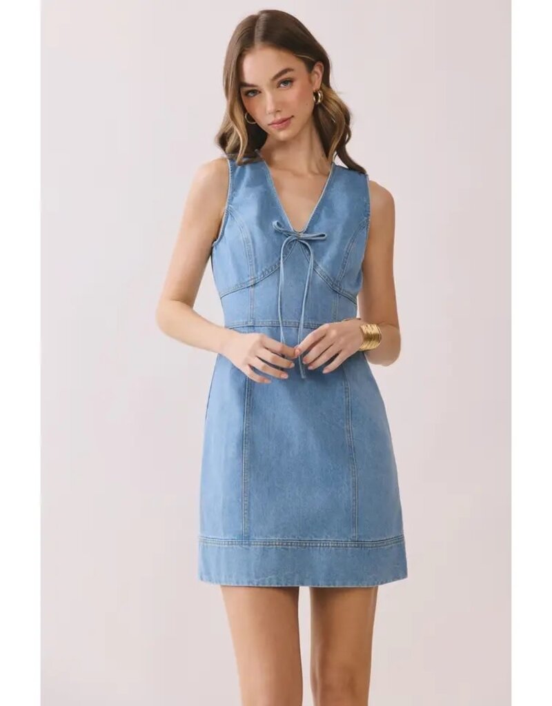 Pretty Follies Denim Darling Dress