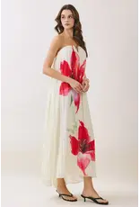 Pretty Follies Soft Romance Dress