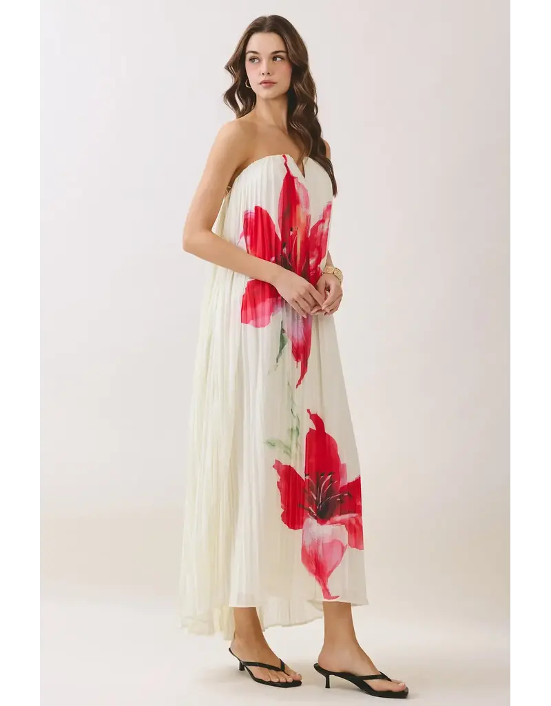 Pretty Follies Soft Romance Dress