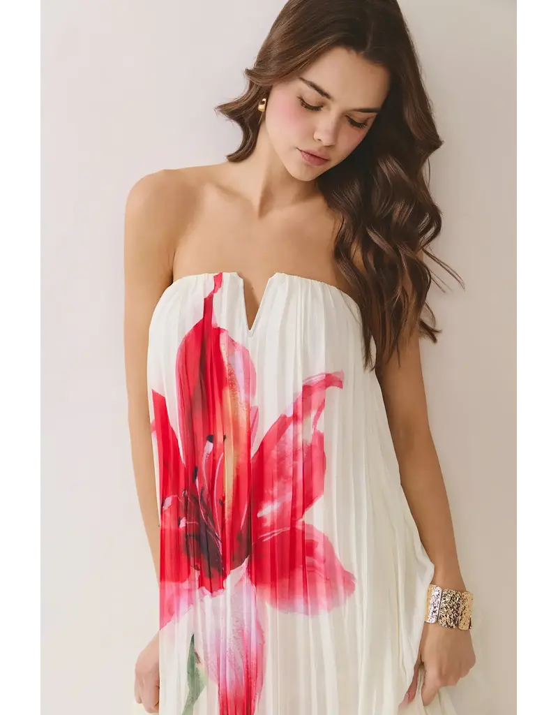 Pretty Follies Soft Romance Dress