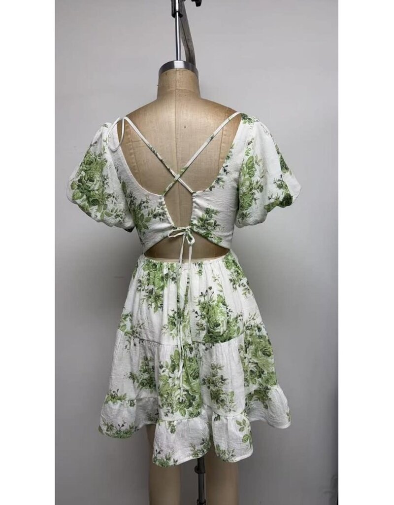 The Vintage Shop Petal Canopy Dress
