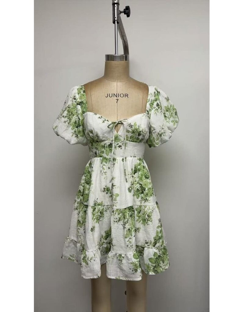 The Vintage Shop Petal Canopy Dress