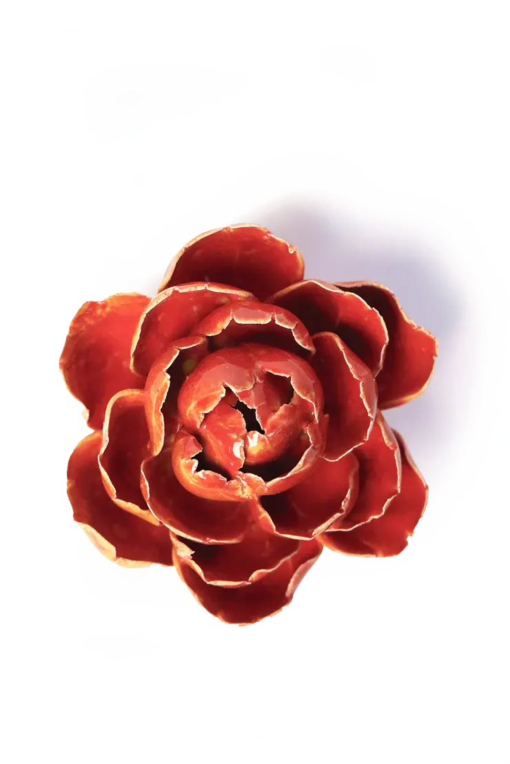 Chive Ceramic Flower - Orange Yellow Gay Paree Peony