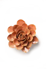 Chive Ceramic Flower - Peach Pink Begonia
