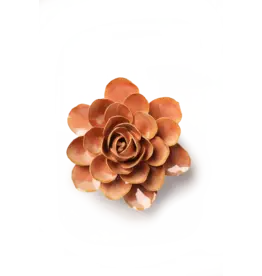 Chive Ceramic Flower - Peach Pink Begonia