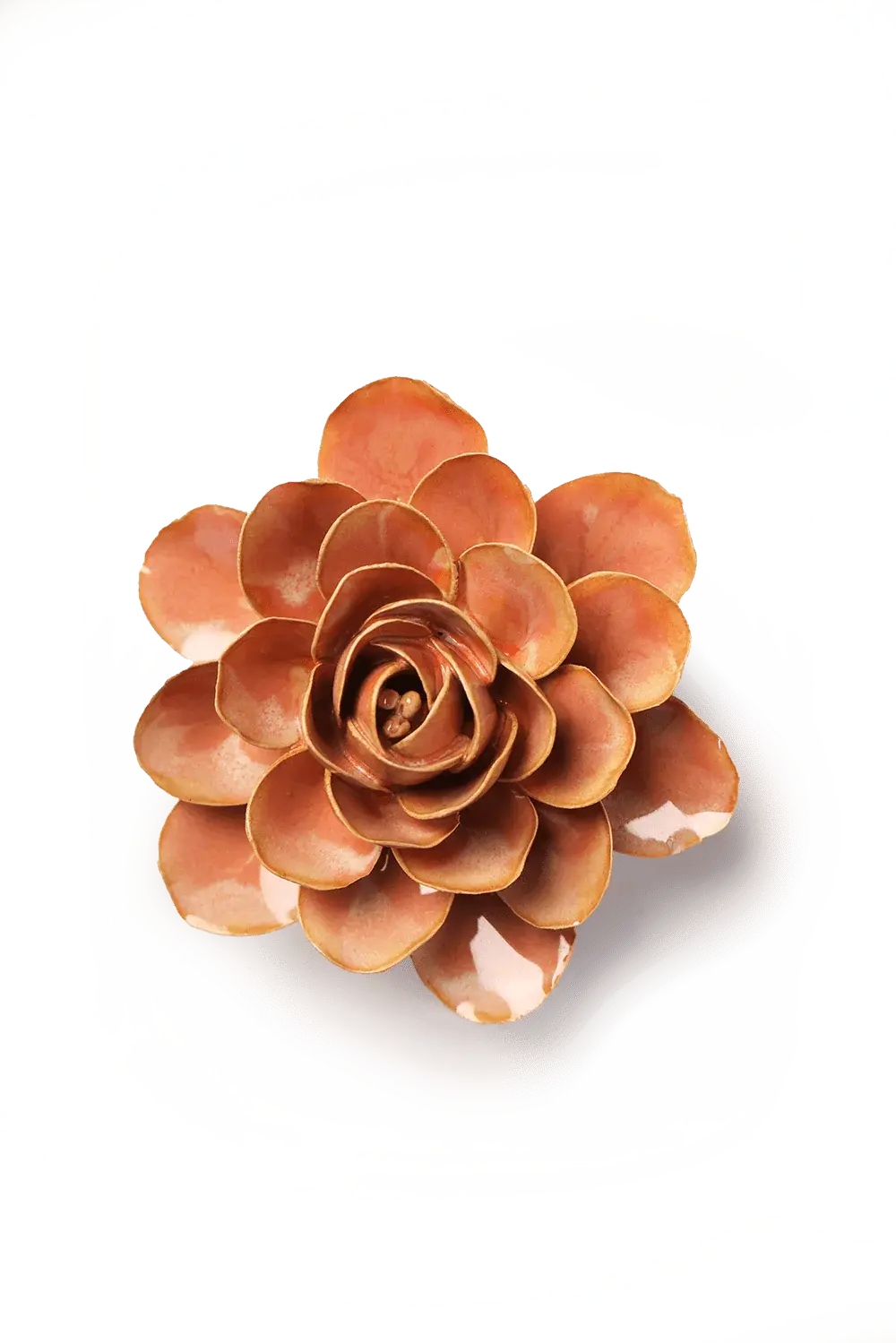 Chive Ceramic Flower - Peach Pink Begonia