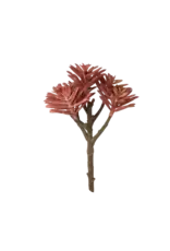 Chive Coral Branch Succulent