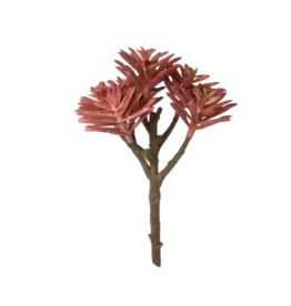 Chive Coral Branch Succulent