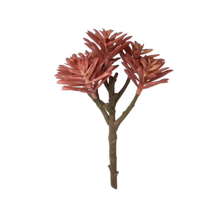 Chive Coral Branch Succulent