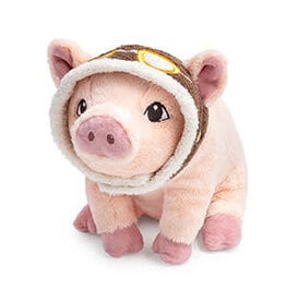 Compendium Maybe Book Pig