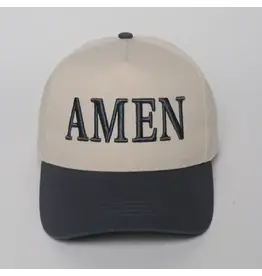David & Young AMEN Two-Tone Cap Steel Grey