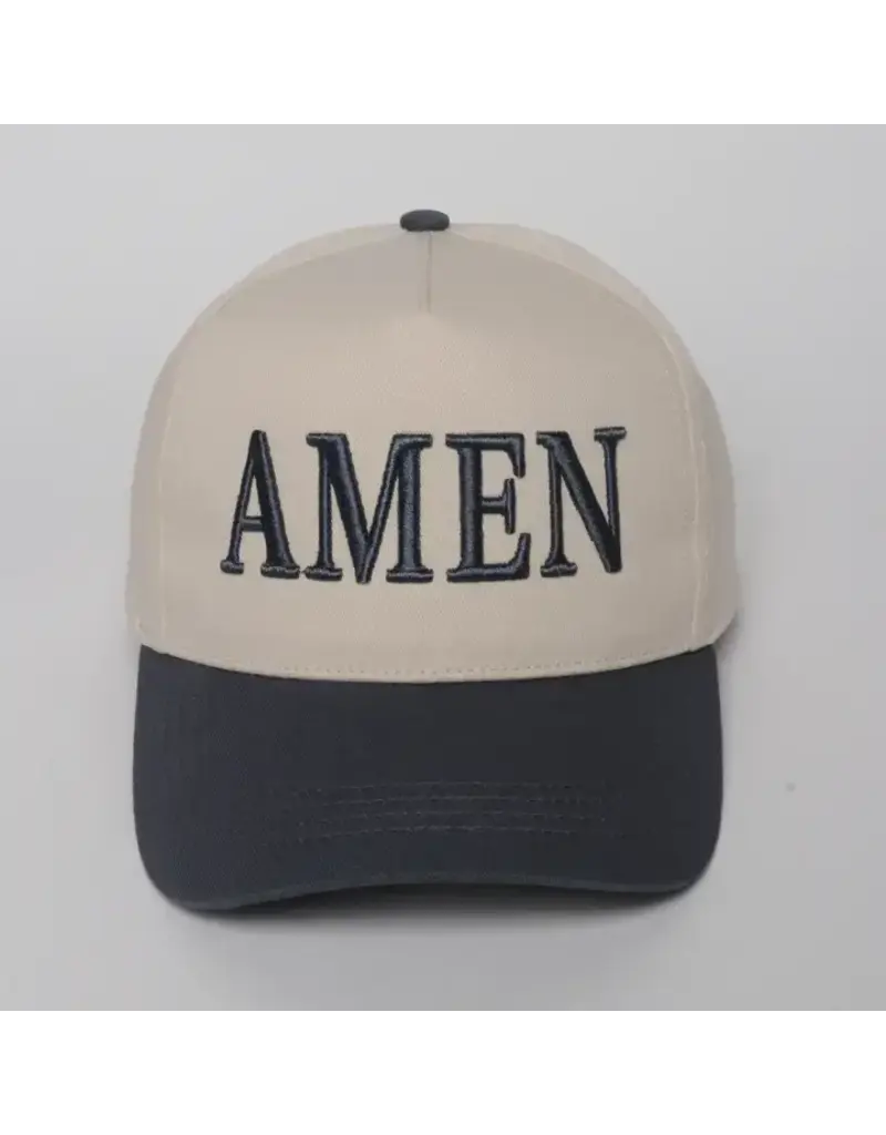 David & Young AMEN Two-Tone Cap Steel Grey