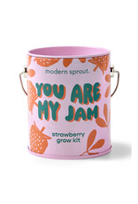 Modern Sprout Color Grow Kit