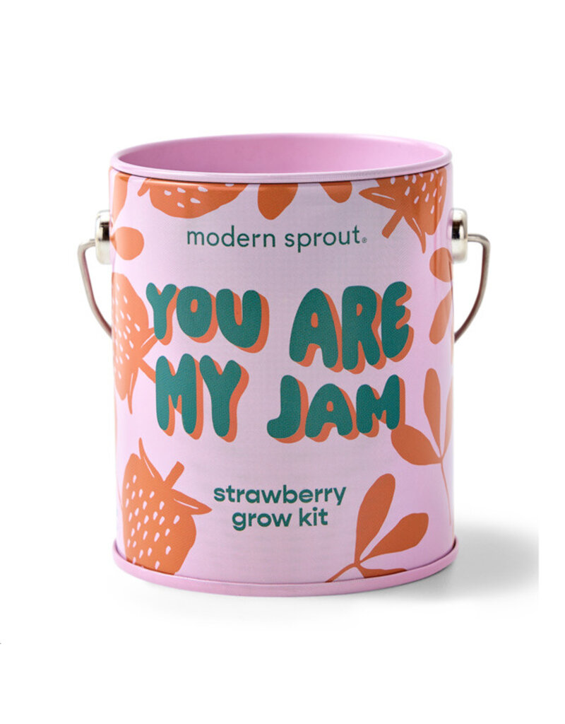 Modern Sprout Color Grow Kit