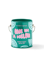 Modern Sprout Color Grow Kit