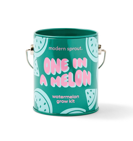 Modern Sprout Color Grow Kit