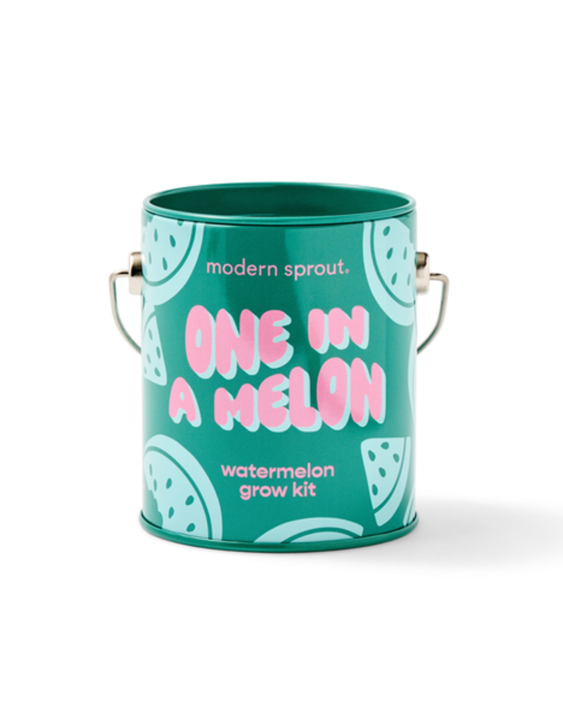 Modern Sprout Color Grow Kit