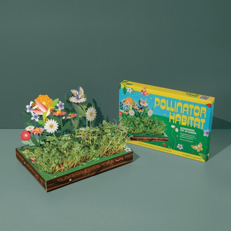 Modern Sprout Microgreens Pop Up - Pollinator Habitat