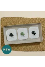 Geo Central Sea Turtle Token