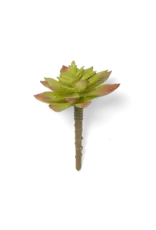 Chive Premium Artificial Succulent Green-Red Echeveria