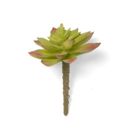 Chive Premium Artificial Succulent Green-Red Echeveria