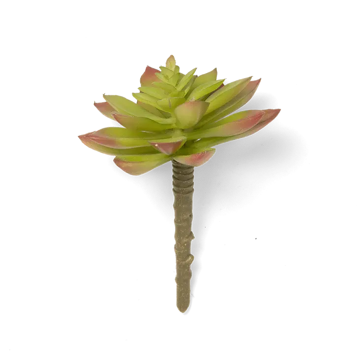 Chive Premium Artificial Succulent Green-Red Echeveria