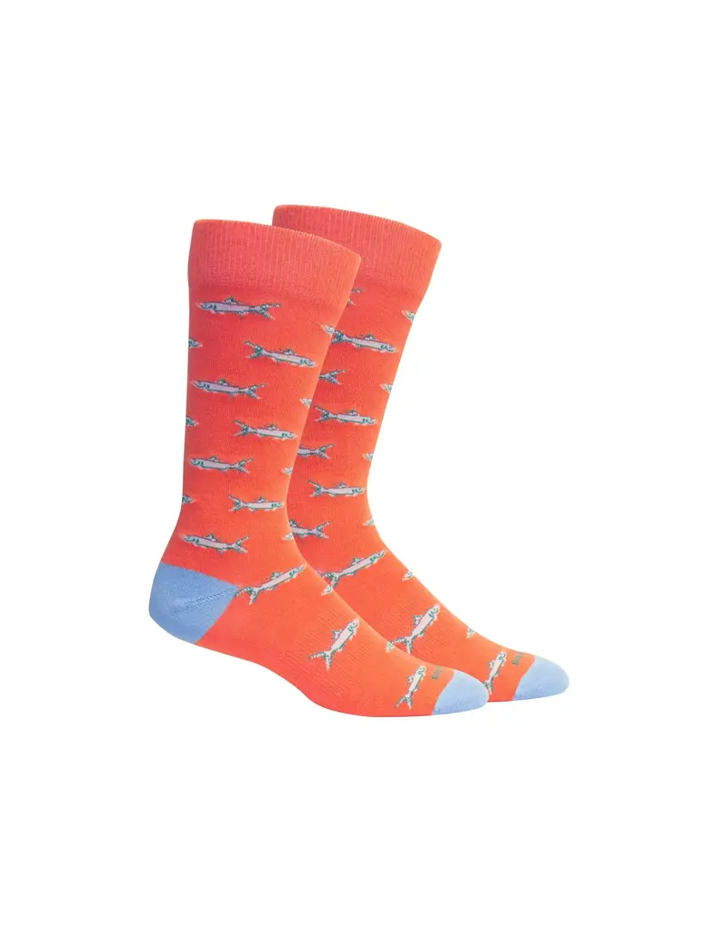 Brown Dog Hosiery Fort Myers Socks