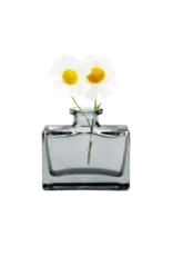 Chive Loft Glass Vintage Bud Vase - Rectangle