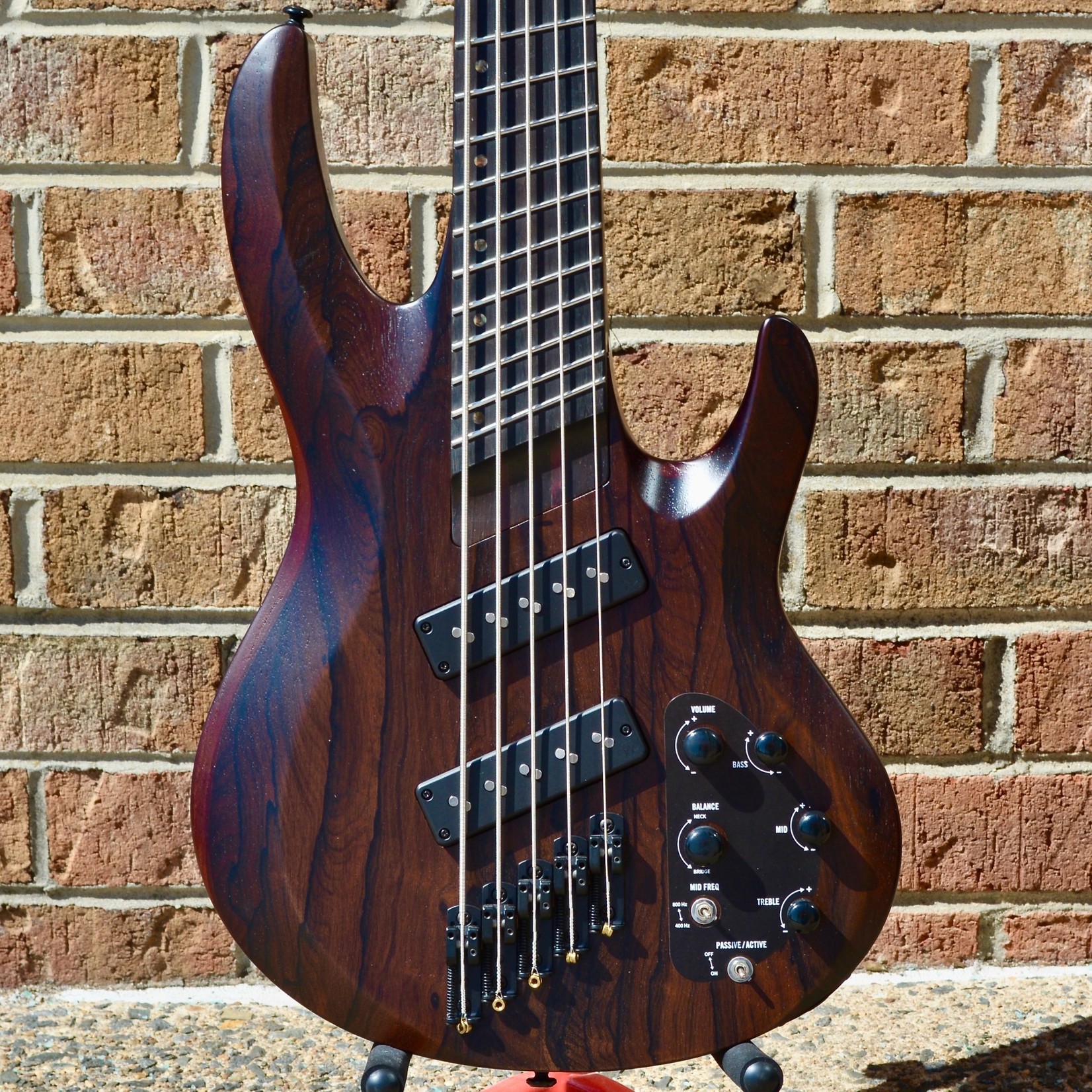 ESP LTD ESP LTD B-1005 Multi-Scale Bass Natural Satin