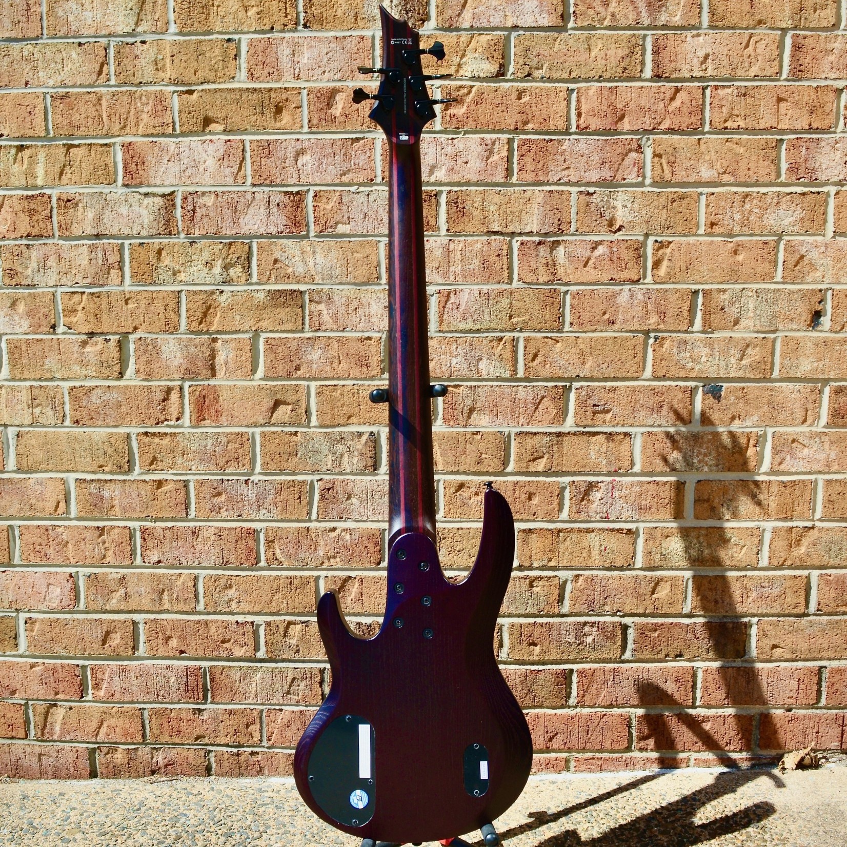 ESP LTD ESP LTD B-1005 Multi-Scale Bass Natural Satin
