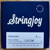 stringjoy custom sets